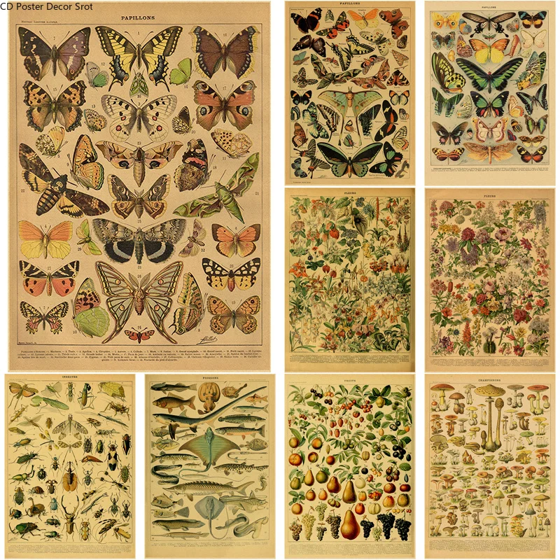 Art Craft Items - Butterfly Insect Flower Mushroom Poster Botanical