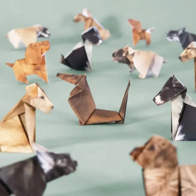 Creative DIY Origami Paper Set - Art Craft Cat incelemesi ve fiyatı
