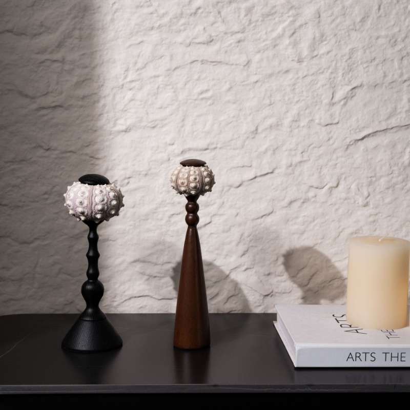 Creative Conch Sculpture Handc - Exhibition Of Art And Craft incelemesi ve fiyatı