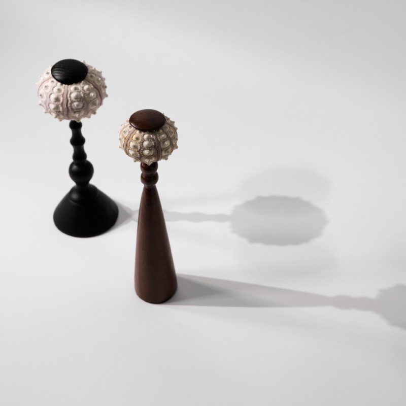 Creative Conch Sculpture Handc - Exhibition Of Art And Craft incelemesi ve fiyatı